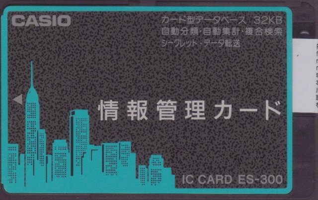 Casio ES-300