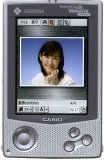 Casio E-500
